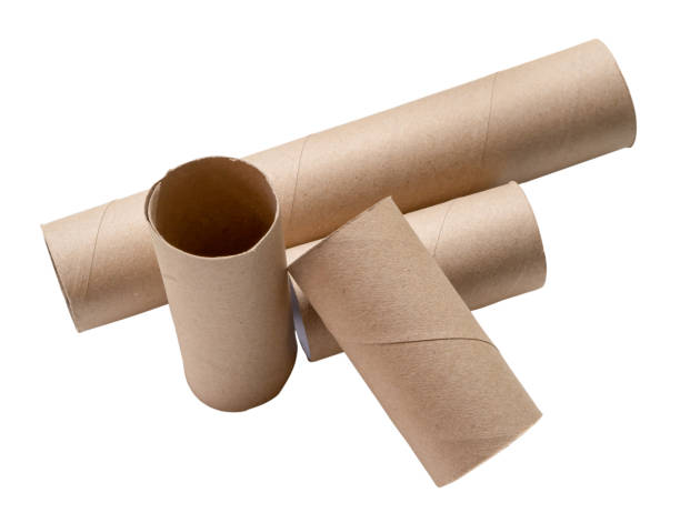 istock Top view of short and long tissue paper cores in stack isolated on white background with clipping path. 1824591985