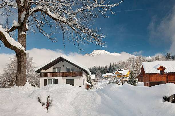 Beautiful sunny day after a week of heavy snow storms. Nikon D3X. Converted from RAW. (XXXL)