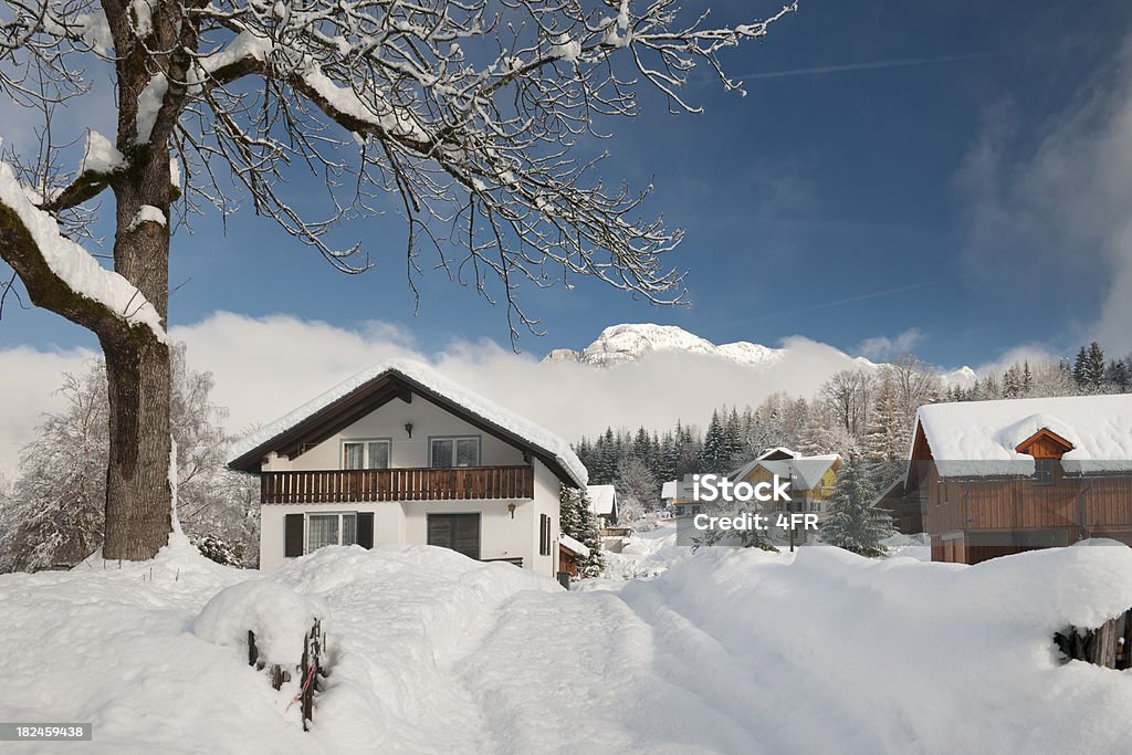 Aldeia coberta com neve dias após pesado snowstorm (XXXL - Royalty-free Abeto Foto de stock