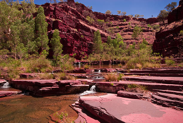 dale gorge, parque nacional de karijini creek - spinnifex - fotografias e filmes do acervo