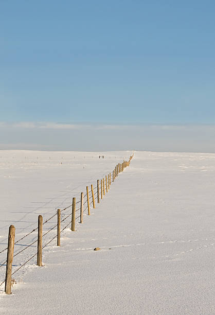 istock Postand barbed wire fence down a snow covered field. 182459981