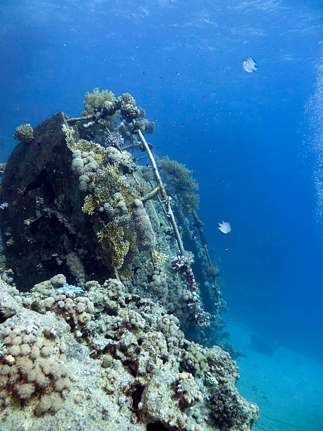 istock sailboat wreck in the Red Sea 182460008