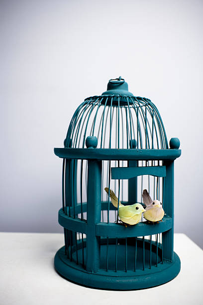 istock Vintage Bird Cage and Birds 182460059