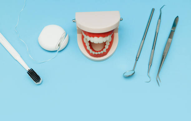 istock Jaw Model with Dental Tools on Blue Background, Flat Lay 1824603915
