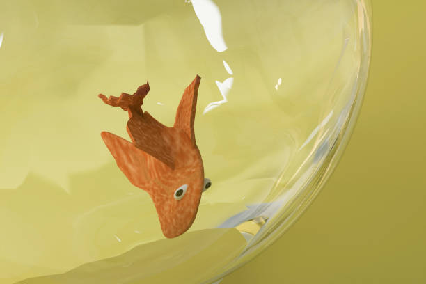 3d render of goldfish and glass bowl from close view