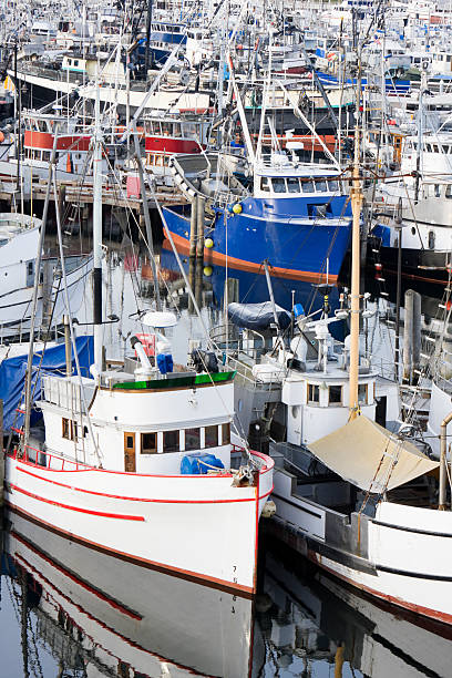 istock Crowded Commercial Fishing Fleet 182460603