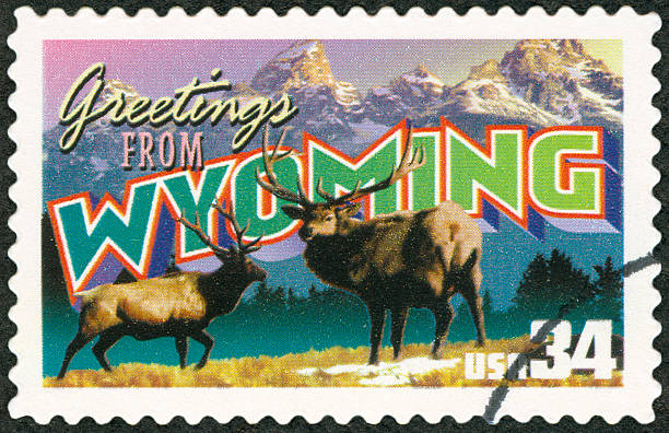 istock A close-up of a Wyoming postage stamp 182460628