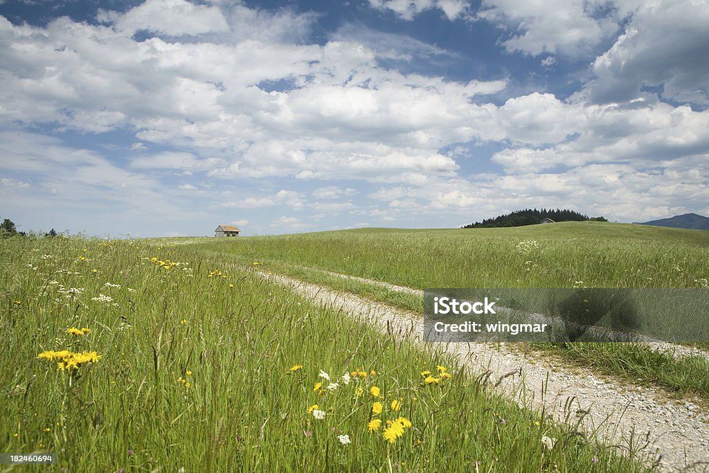 A caminho - Royalty-free Abril Foto de stock