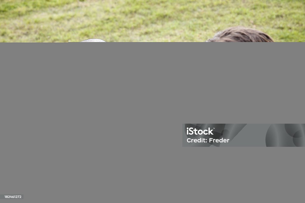 young zebra with mother close-up of zebras Close-up Stock Photo