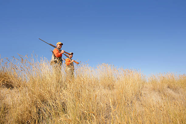 b) охоты - pheasant hunter стоковые фото и изображения