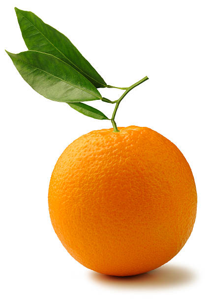 Orange with Leaves "Naval Orange with Leaves, isolated on a white background." valencia orange stock pictures, royalty-free photos & images