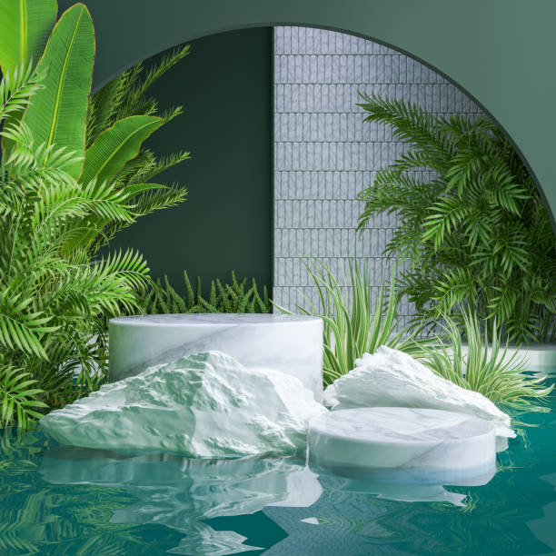 istock marble podium  with water and naturel background for product display .3d rendering 1824622247
