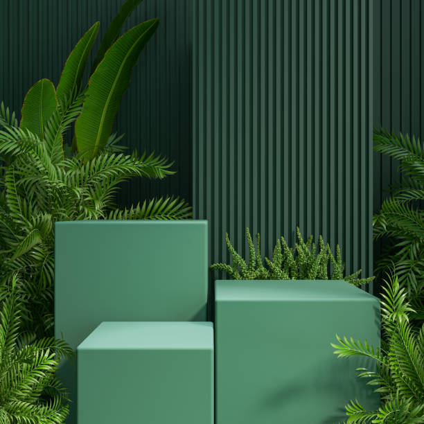 istock green podium  with naturel background for product display .3d rendering 1824622872