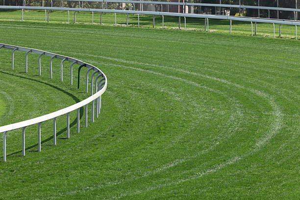 istock A green horse racing track with railings 182462497