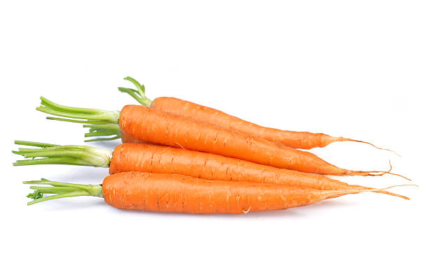 Carrot stock photo