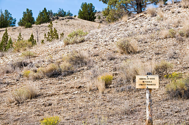 istock Removal of fossils strictly prohibited sign 182463596
