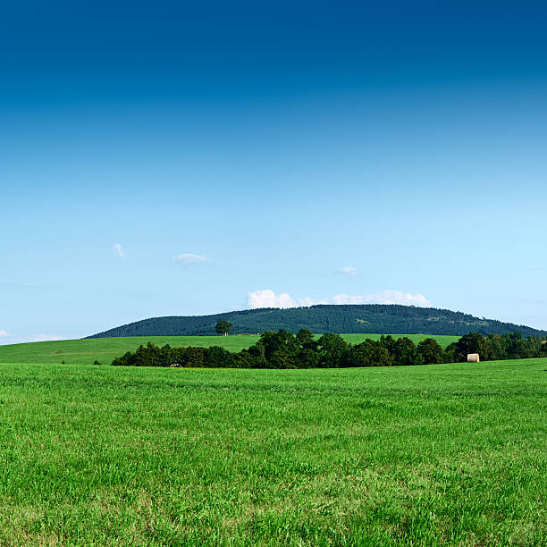 istock Square spring landscape 31MPix XXXXL meadow, forest, blue sky 182463599