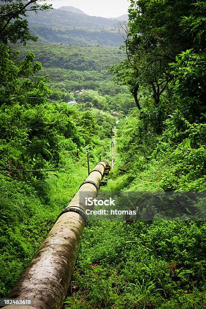 Oleoducto En El Bosque Foto de stock y más banco de imágenes de Conducto - Tubería - Conducto - Tubería, Selva Tropical, Gas natural