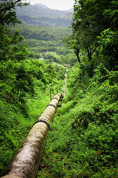 canal em floresta - pipeline gas pipe pipe natural gas - fotografias e filmes do acervo