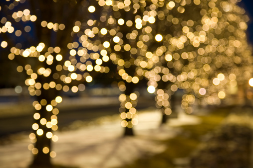 A background of out of focus christmas lights on a row of trees.