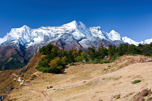 Himalaya's panorama - Mount Everest National Park. This is the highest national park in the world, with the entire park  located above 3,000 m ( 9,700 ft). This park includes three peaks higher than 8,000 m, including Mt Everest. Therefore, most  of the park area is very rugged and steep, with its terrain cut by deep rivers and glaciers. Unlike other parks in the plain  areas, this park can be divided into four climate zones because of the rising altitude. The climatic zones include a forested  lower zone, a zone of alpine scrub, the upper alpine zone which includes upper limit of vegetation growth, and the Arctic  zone where no plants can grow. The types of plants and animals that are found in the park depend on the altitude.http://bem.2be.pl/IS/nepal_380.jpg