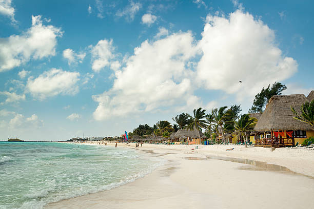 плая-дель-кармен пляж, майя отели рядом с ривьера-канкун, мексика - beach tourist resort mexico tropical climate стоковые фото и изображения