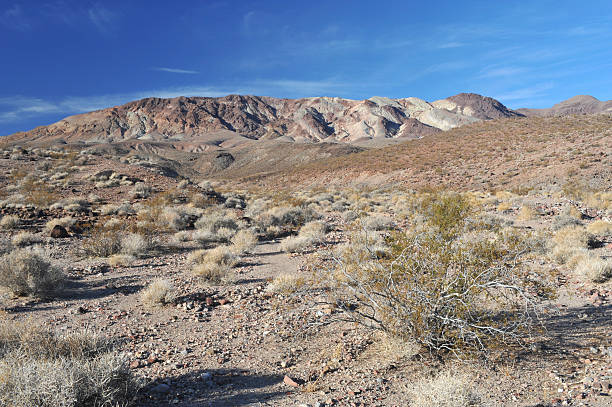istock Death Valley National Park 182464063