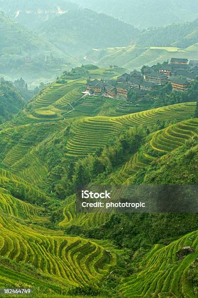 Mattina Nebbiosa Sopra Longji Village - Fotografie stock e altre immagini di Risaia - Risaia, Riso - Cereale, Agricoltura