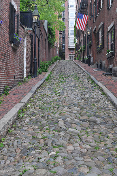 istock Acorn Street in Boston 182464895