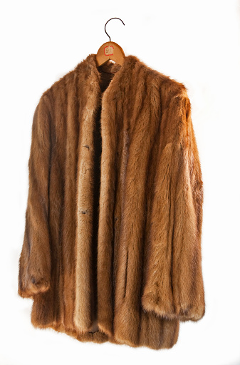 A woman's 100 year old fur coat... possibly mink. White background with copy space. On a wood hanger with a number on it. Possibly a coat-check hanger.