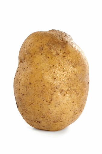 Large raw potato on white background