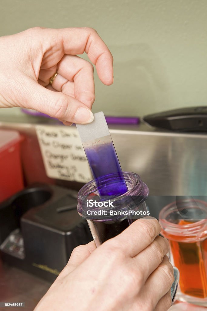 Lab Technician Preparing a Microscope Slide  Bacterium Stock Photo