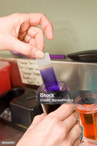 Lab Technician Preparing A Microscope Slide Stock Photo - Download Image Now - Bacterium, Doctor, Equipment