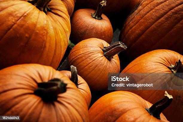 Group Of Pumpkins Stock Photo - Download Image Now - Celebration Event, Crop - Plant, Food