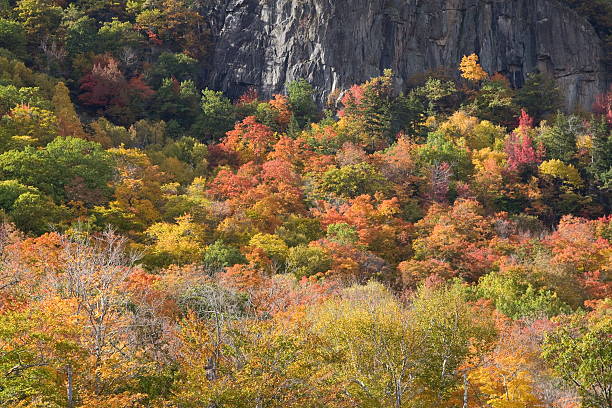 istock Frankenstein Cliff in Autumn –Crawford Notch 182466201