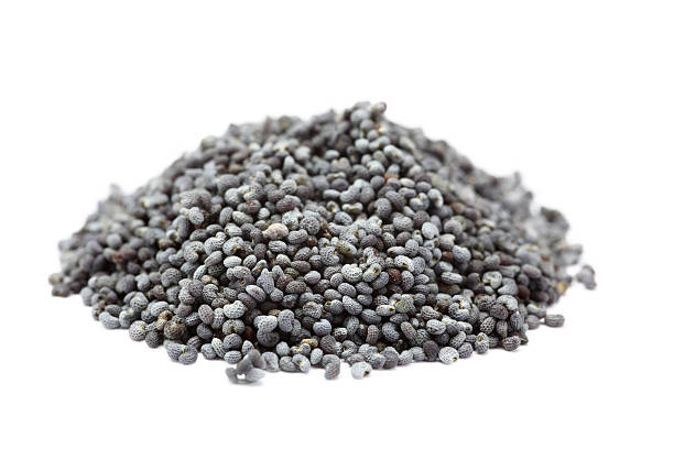 istock poppy seeds isolated on white 182466403