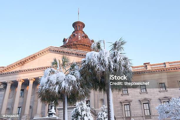パルメット雪で覆われた木でサウスカロライナ州議事堂 - サウスカロライナ州のストックフォトや画像を多数ご用意 - サウスカロライナ州, 冬, コロンビア - サウスカロライナ州
