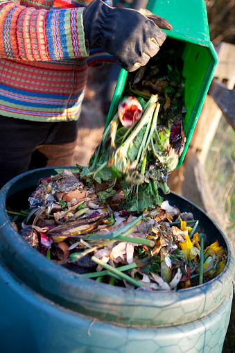 Kitchen waste bin being emptied into a composting bin for recycling into compost for use on a grow your own vegetable garden. Motion blur as the waste food falls out of the bin.