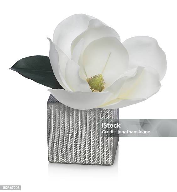 Jarrón Flor De Magnolia En Plata Sobre Un Fondo Blanco Foto de stock y más banco de imágenes de Blanco - Color