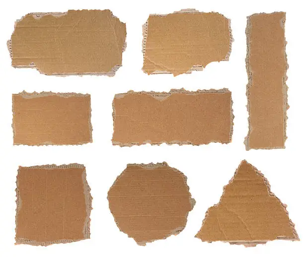Photo of Torn pieces of cardboard