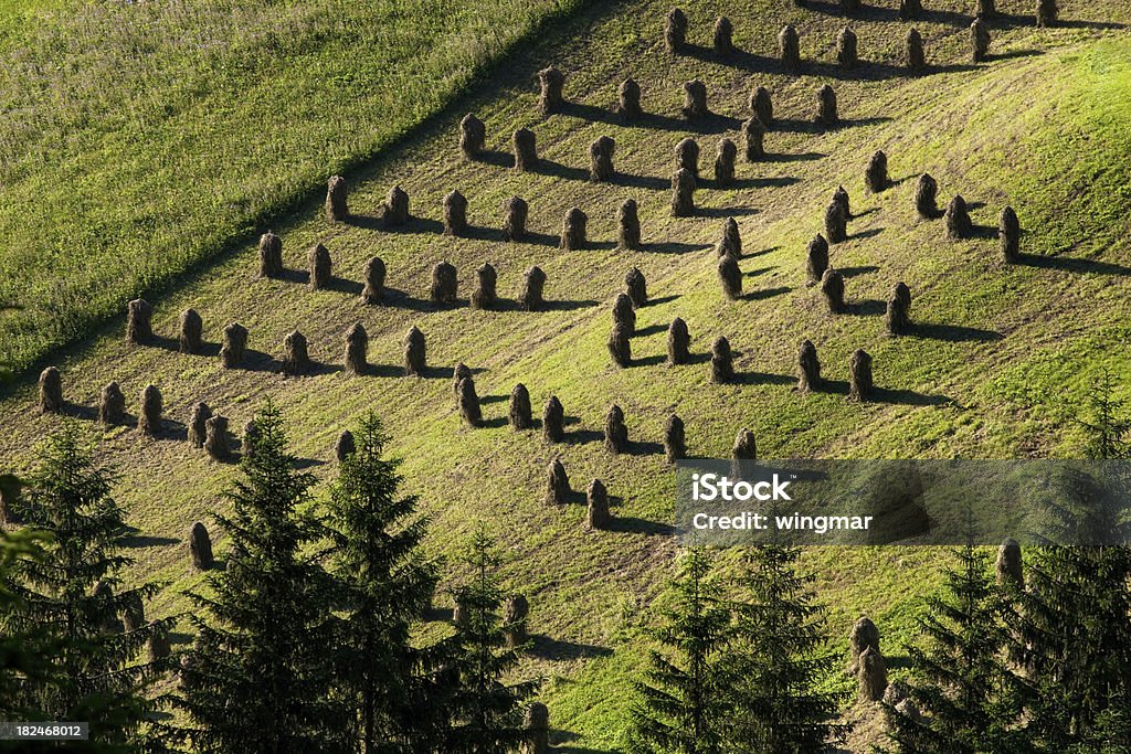 Ehi la raccolta in tirol - Foto stock royalty-free di Alpi