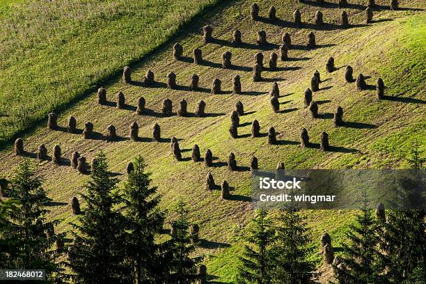 Foto de Ei Colheita In Tirol e mais fotos de stock de Alpes europeus - Alpes europeus, Alto contraste, Atividade Recreativa