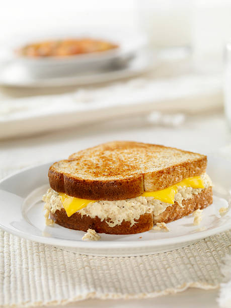 Grilled Tuna and Cheese Sandwich Grilled Tuna and Cheese Sandwich -Photographed on Hasselblad H3D2-39mb Camera melting tuna cheese toast stock pictures, royalty-free photos & images