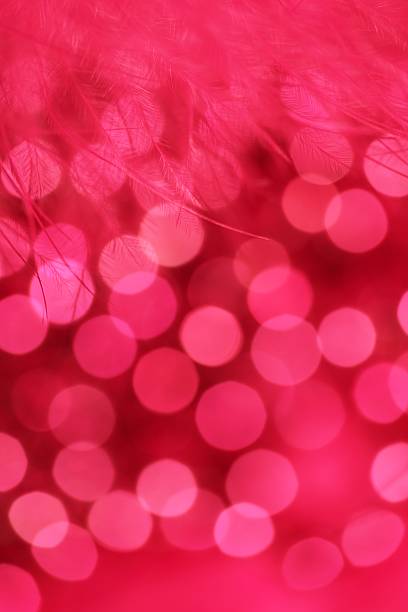 Pink Feathers and Lights stock photo