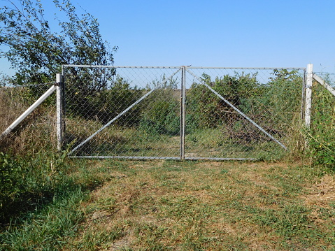 A metal fence against a blue sky background.  The metal fence extends from the bottom of the image to approximately three-fourths of the way up.  At the base of the metal fence, there are several brown and green weeds and long, uncut grass.  There is a metal pole on the right side of the image.