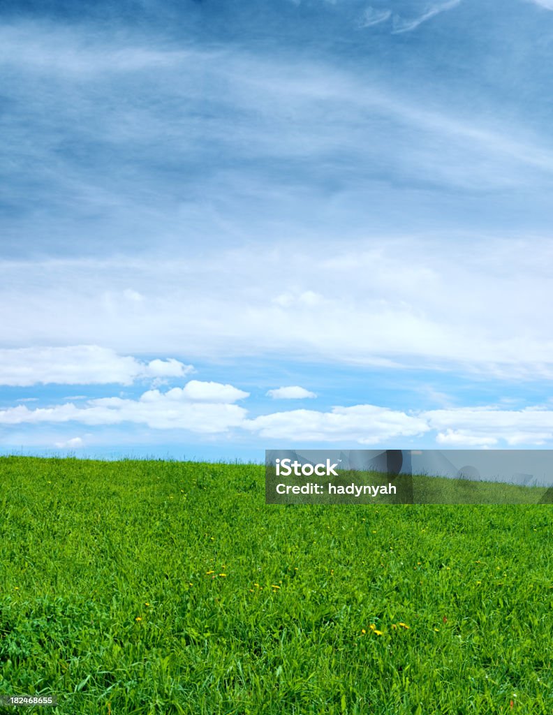 panorama111MPix XXXL-prado de primavera, cielo azul y nubes - Foto de stock de Agricultura libre de derechos