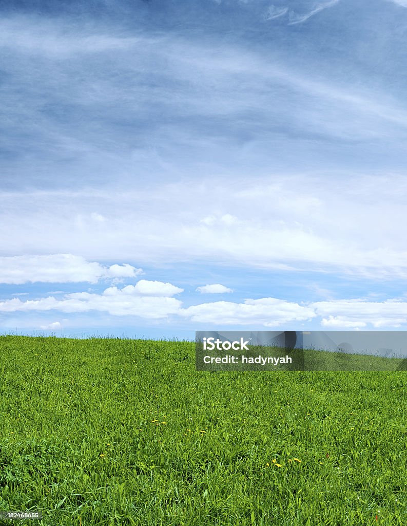 Primavera panorama111MPix XXXL-Prato, blu cielo, nuvole - Foto stock royalty-free di Agricoltura