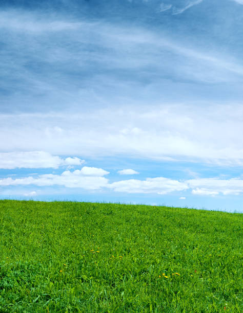 istock Spring panorama111MPix XXXL - meadow, blue sky, clouds 182468655