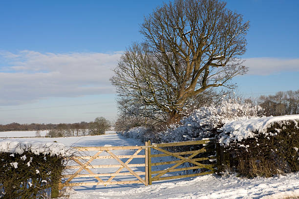 paisaje de invierno paisaje - cheshire non urban scene scenics rural scene fotografías e imágenes de stock