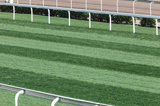 istock Horse Racing Track 182469185